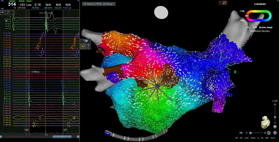 AFPanico tweet media