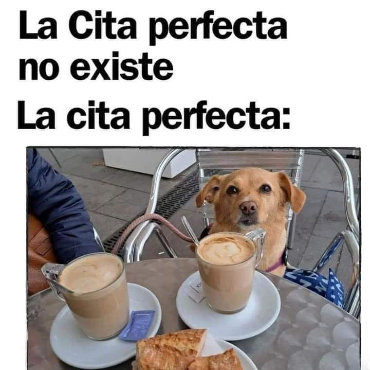 Sabueson (@sabueson) on Twitter photo 