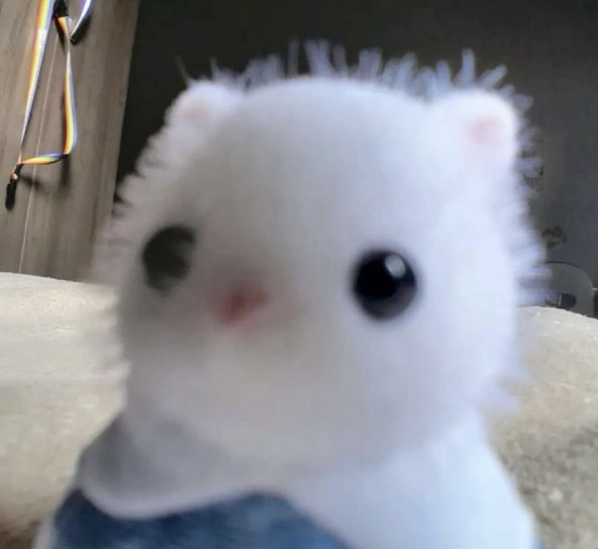 can i come over and stare at u like this