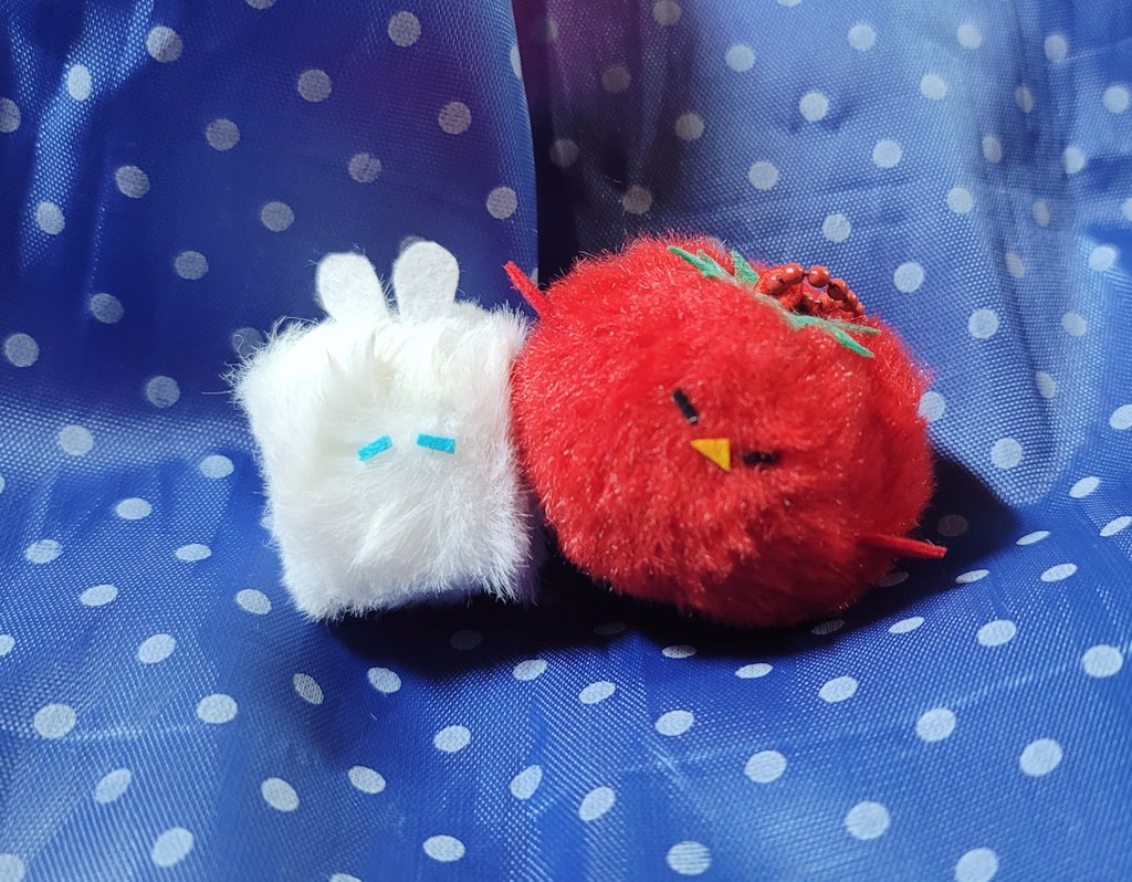 저도 10월10일 호백데이 이벤트🥳
알티 한분 추첨으로 두부토열이와 토마토뺙호를 보내드릴게요
*세트니까 호백 호백호 백호열 하시는 분만*