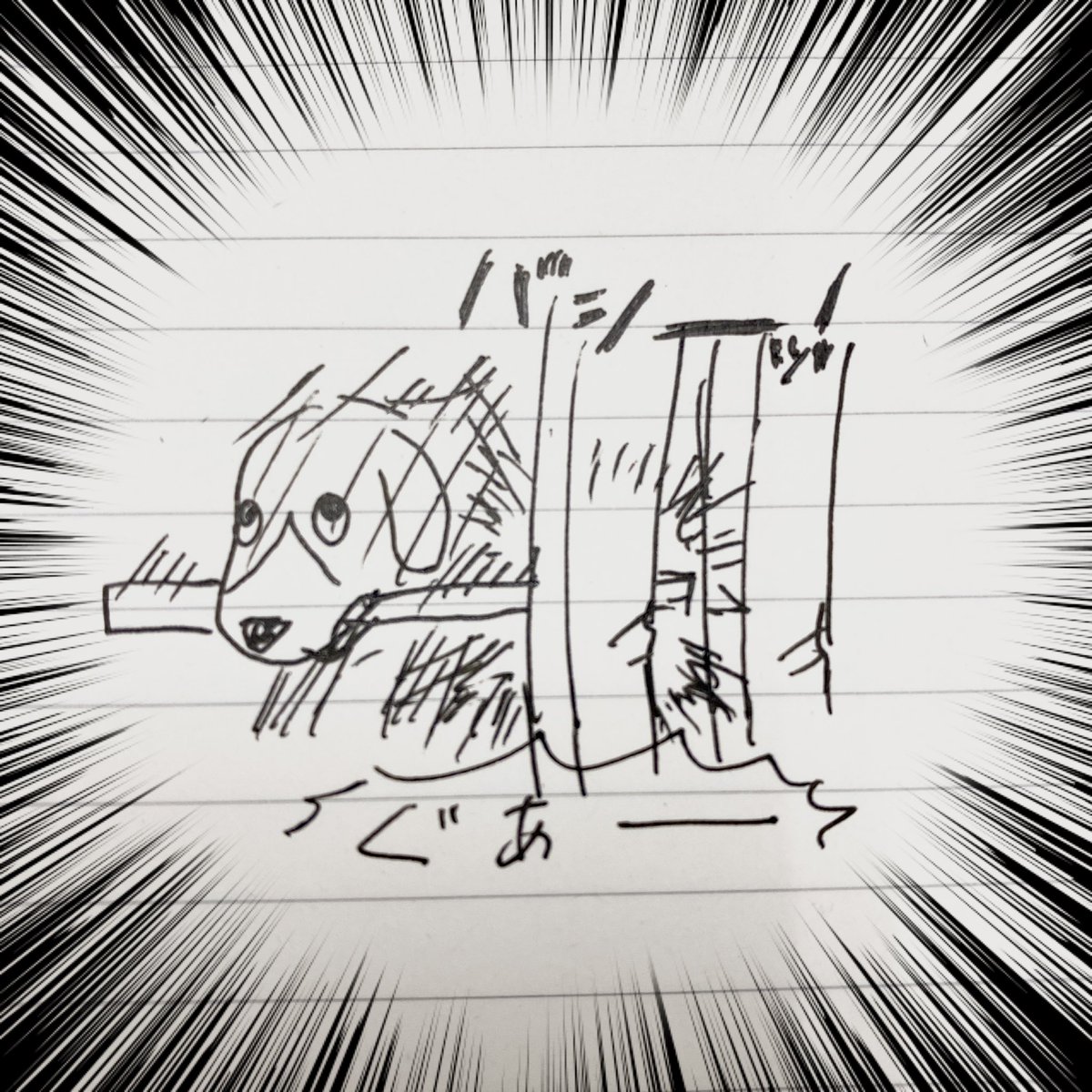 棒を得た犬