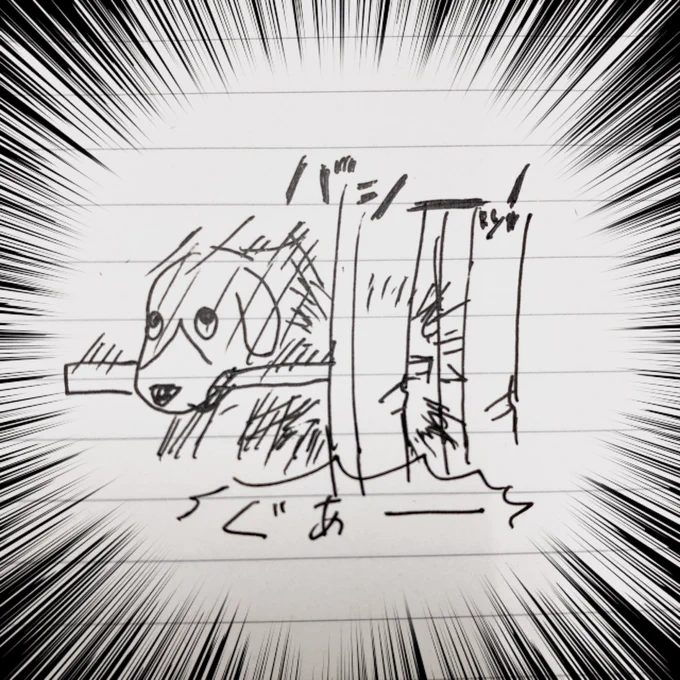 棒を得た犬