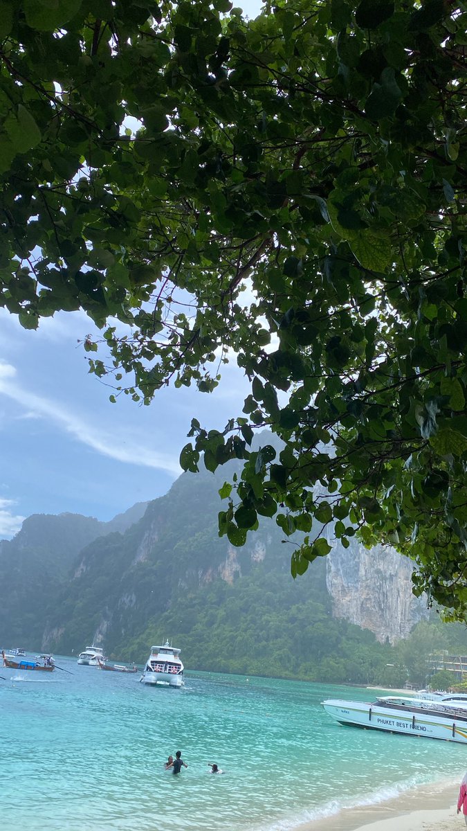 صباح الخير .