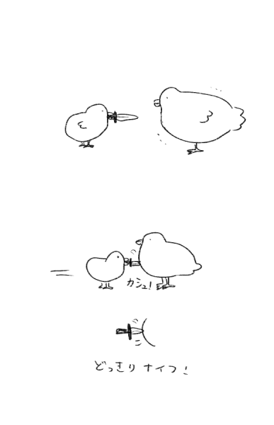 放鳥🔪🐤 