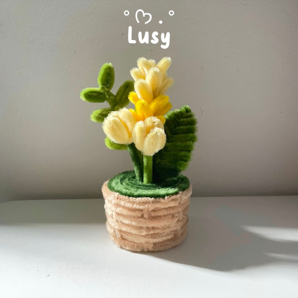 𝓟𝓮𝓽𝓪𝓵𝓲𝓬𝓮 | Jual 🌷🌸 handcraft tweet media