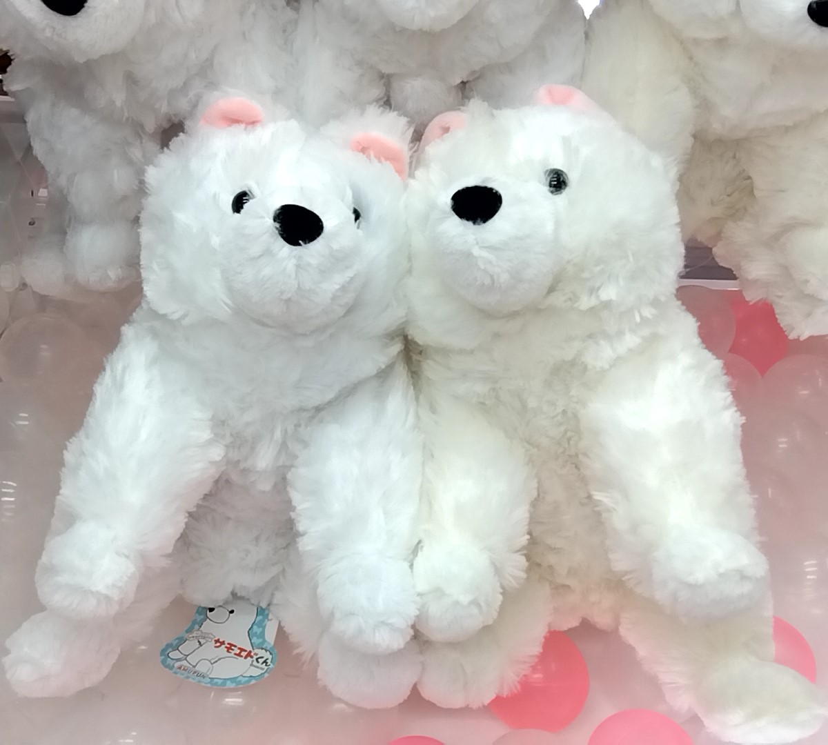 週末限定ンセール ソピアいとく鹿角店 على X:  ぬいぐるみ