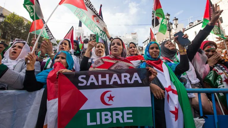 #Internacional 

Desde #CGT, reiteramos nuestro apoyo absoluto al pueblo saharaui y felicitamos al <a href="/Polisario_Es/">Frente POLISARIO España</a> #FrentePolisario, ejemplo de #resistencia. 

cgt.org.es/cgt-reitera-su…

📷 <a href="/europapress/">Europa Press</a>