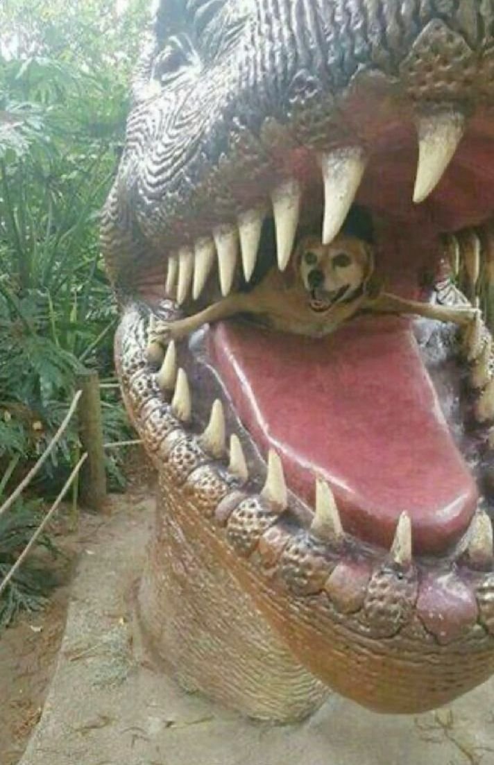 CaptivatingVibe's tweet image. "You're probably wondering how I ended up here" 馃槀馃槀
