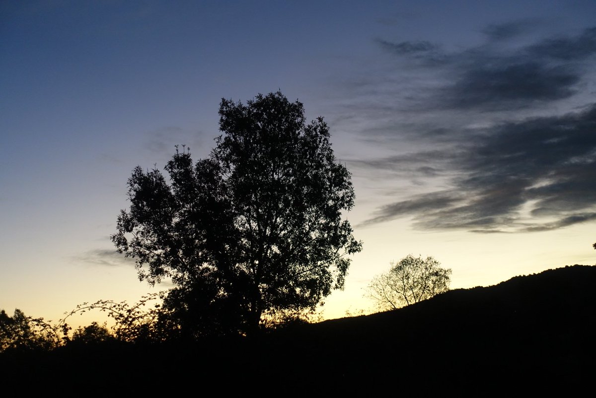 Viajarapie tweet media