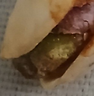 Reverend Fiona Souter tweet media