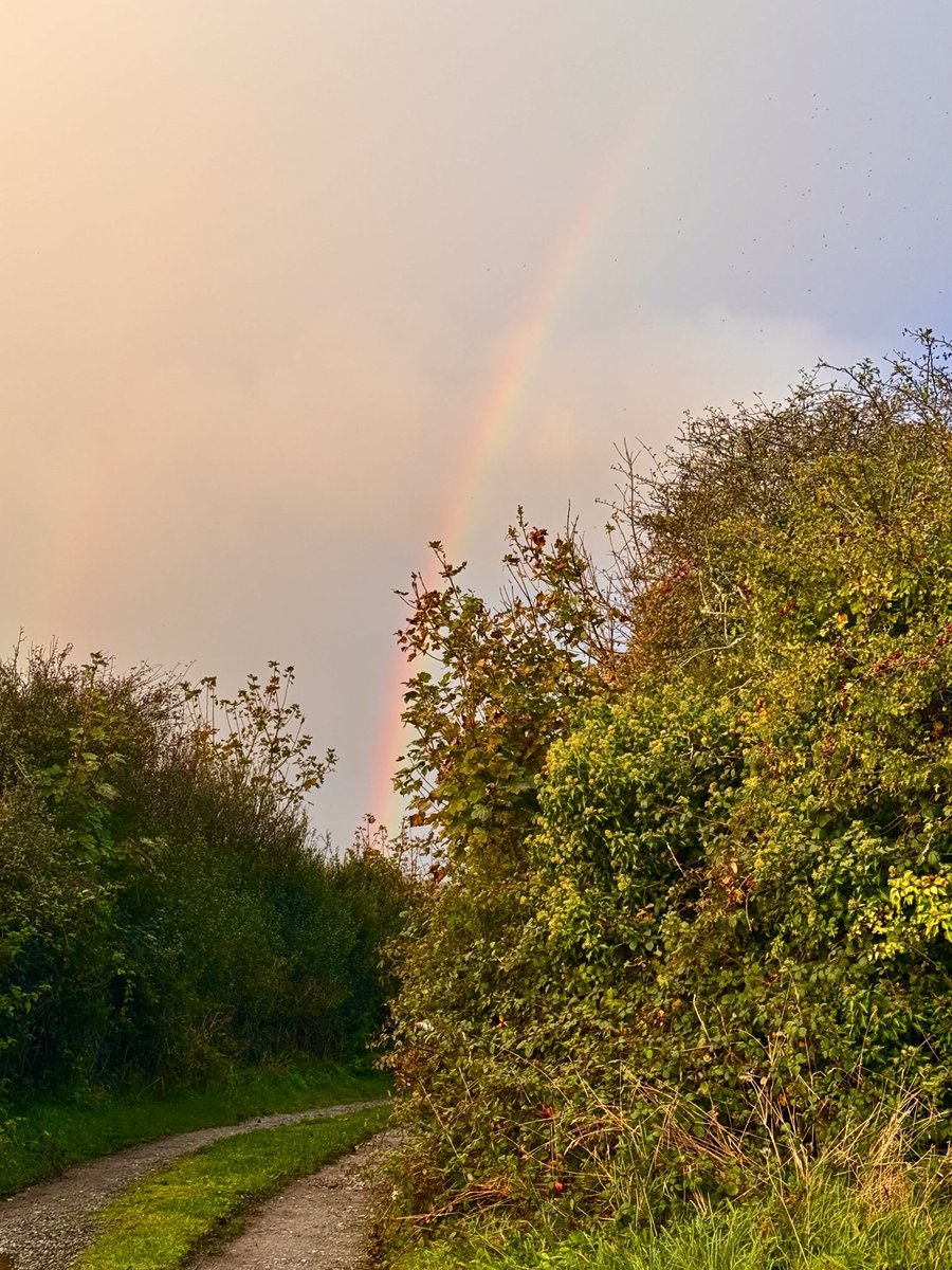 Love a good rainbow 🌈