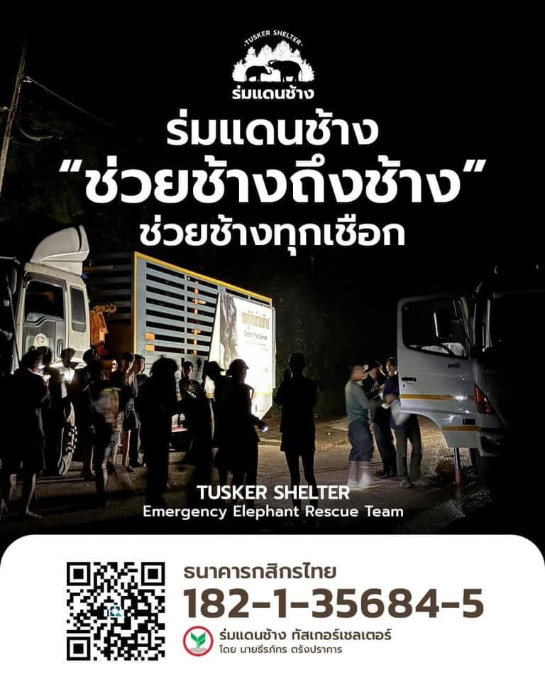 vnomenon 🇹🇭 tweet media