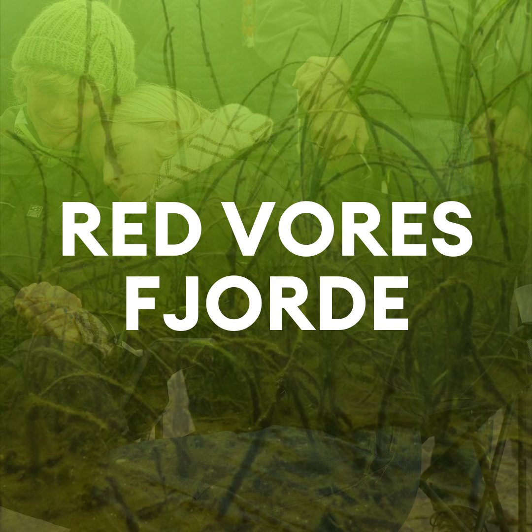 Den Grønne Ungdomsbevægelse (@dengroenneung) on Twitter photo HJÆLP OS VED AT REPOSTE:
Der er brug mere kvælstofsregulering ikke mindre! Vi vil ikke lade regeringen kvæle vores fjorde💔 Regeringens greenwashing vil ikke få livet tilbage i vores hav. Regulering vil #dkpol <a href="/JeppeBruus/">Jeppe Bruus</a> <a href="/Statsmin/">Statsministeriet</a> <a href="/L_Aagaard/">Lars Aagaard</a> <a href="/JuulMona/">Mona Juul</a> <a href="/PiaOlsen/">Pia Olsen Dyhr</a> @martinlidegaard HJÆLP OS VED AT REPOSTE:
Der er brug mere kvælstofsregulering ikke mindre! Vi vil ikke lade regeringen kvæle vores fjorde💔 Regeringens greenwashing vil ikke få livet tilbage i vores hav. Regulering vil #dkpol <a href="/JeppeBruus/">Jeppe Bruus</a> <a href="/Statsmin/">Statsministeriet</a> <a href="/L_Aagaard/">Lars Aagaard</a> <a href="/JuulMona/">Mona Juul</a> <a href="/PiaOlsen/">Pia Olsen Dyhr</a> @martinlidegaard