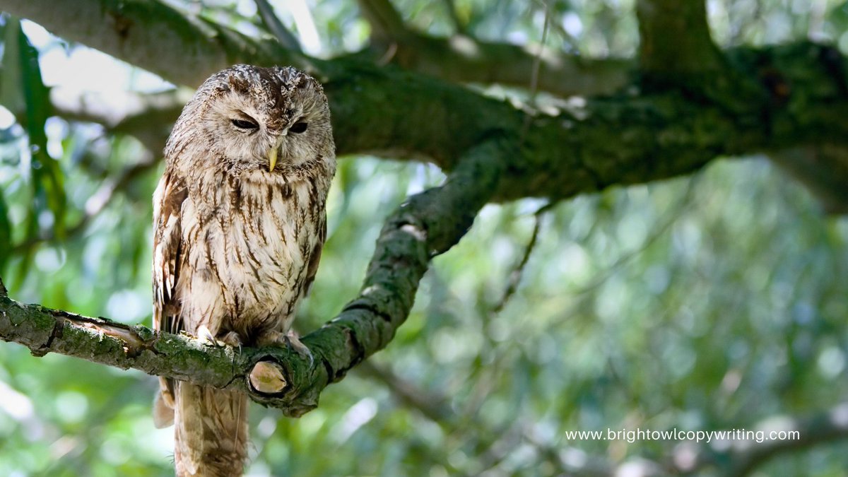 Louisa Sando-Patel tweet media