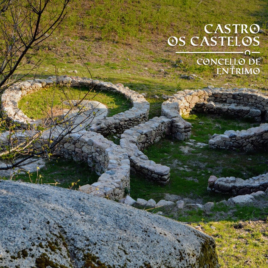 👉O patrimonio de Entrimo lévanos hoxe ata un punto cheo de historia: o castro Os Castelos. 

📌Na web municipal cóntannos que "A cultura castrexa deixou o seu sinal nos nosos montes, na serra do Quinxo e nos Castelos".

#XeodestinoCelanovaXurés 

🔗concelloentrimo.es/gl/historia/