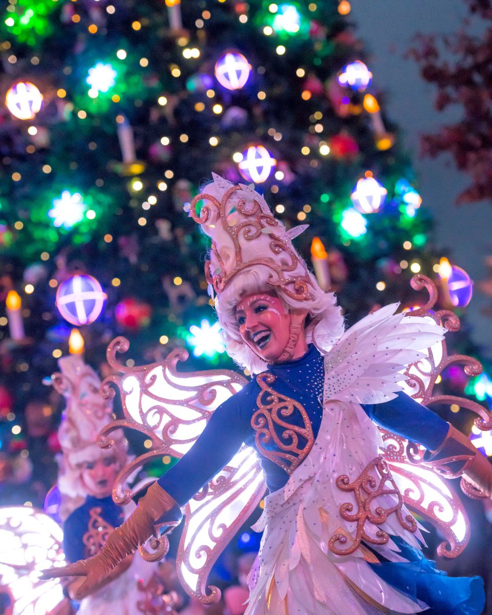 Disneyland Paris EN tweet media