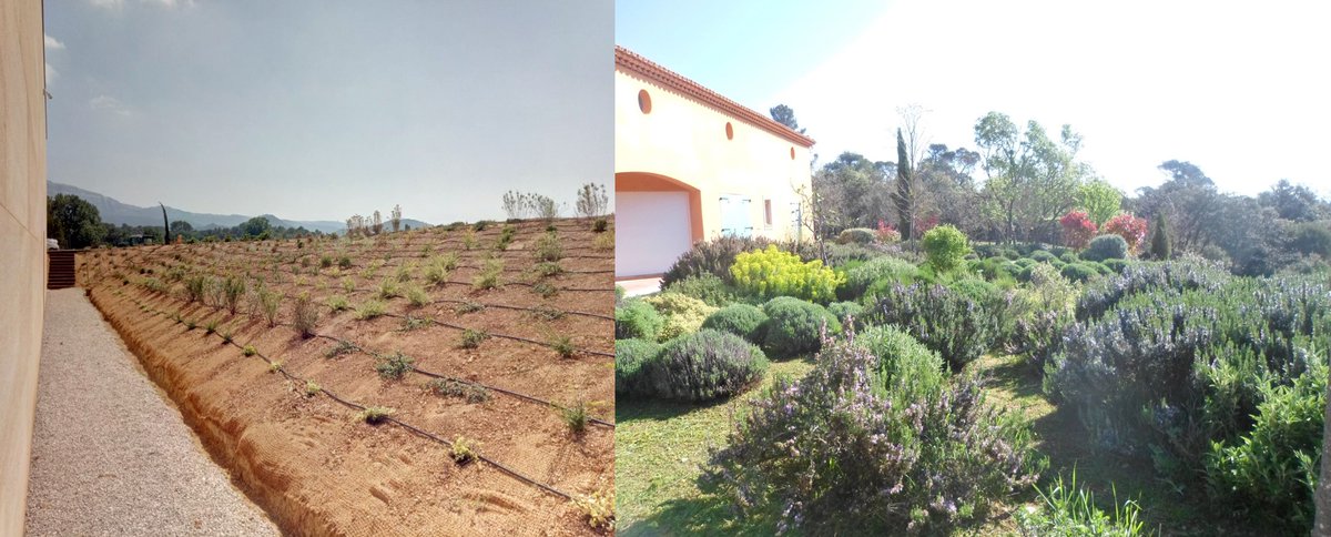 Voici 4 bonnes raisons de planter en automne :
1/ 🌱 Meilleur enracinement
2/ 🌦️Précipitations naturelles
3/ 🌸 Bourgeons et fleurs dès les 1ers beaux jours
4/ 🍒 1 année gagnée pour vos arbres fruitiers
Et 1 numéro pour votre devis : ☎️04 69 00 20 42