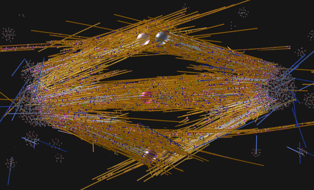 First ever 3D model of the mitotic spindle in Arabidopsis root gives insights into how a plant cell divvies up genes when dividing in two. Great collaboration between François Nédélec &amp; @LabSchnittger with <a href="/helenmsaville/">Helen Saville</a> &amp; Claire Jacquerie using <a href="/cytosim/">cytosim</a> 
slcu.cam.ac.uk/news/new-3d-si…