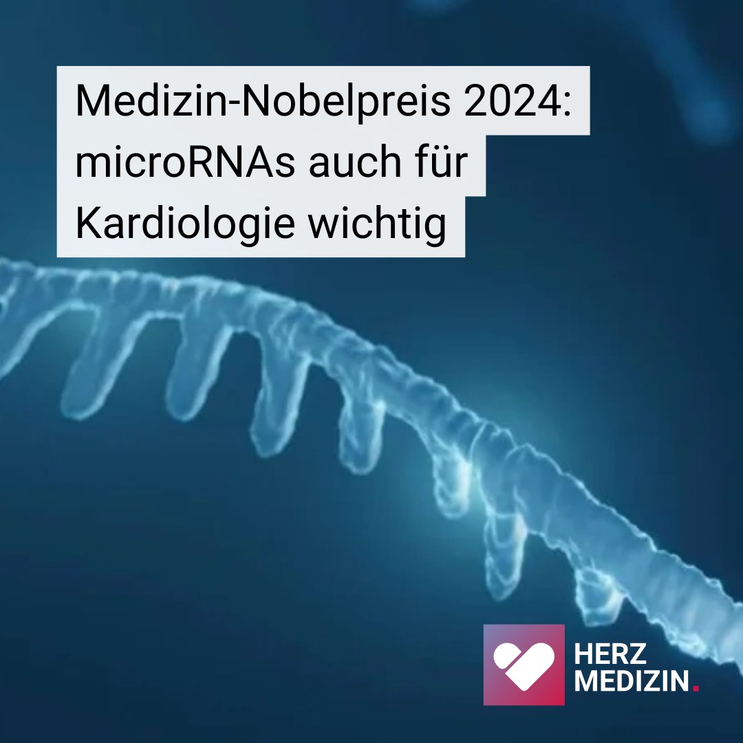 Deutsche Gesellschaft für Kardiologie (@dgk_org) on Twitter photo 🏅Der #Nobelpreis in Medizin 2024 geht an V. Ambros & G. Ruvkun für ihre Entdeckung der microRNAs (#miRNA)! Diese bahnbrechende Forschung hat enorme Bedeutung für das Verständnis kardiovaskulärer Erkrankungen. Überblick von PD Dr. <a href="/NielsBoeckel/">Niels Boeckel</a>:
➡️ herzmedizin.de/fuer-aerzte-un…
#DGK 🏅Der #Nobelpreis in Medizin 2024 geht an V. Ambros & G. Ruvkun für ihre Entdeckung der microRNAs (#miRNA)! Diese bahnbrechende Forschung hat enorme Bedeutung für das Verständnis kardiovaskulärer Erkrankungen. Überblick von PD Dr. <a href="/NielsBoeckel/">Niels Boeckel</a>:
➡️ herzmedizin.de/fuer-aerzte-un…
#DGK