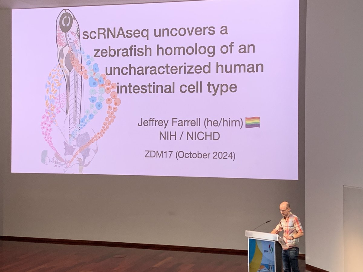 Day 3 starts at #ZDM17! It begins with a beautiful scRNAseq journey from <a href="/JeffreyAFarrell/">Jeff Farrell</a> 🤩 <a href="/NIH/">NIH</a> @NICHD_NIH