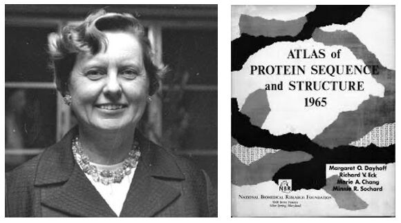 irileniaN's tweet image. Great news that computational biology is being recognised by the Nobel committee. A good time to remember the pioneering work of Margaret Dayhoff and her Atlas of Protein Sequence and Structure (1965), a precursor to the establishment of the Uniprot and PDB databases.