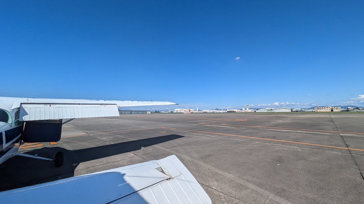 空飛ぶたぬき tweet media