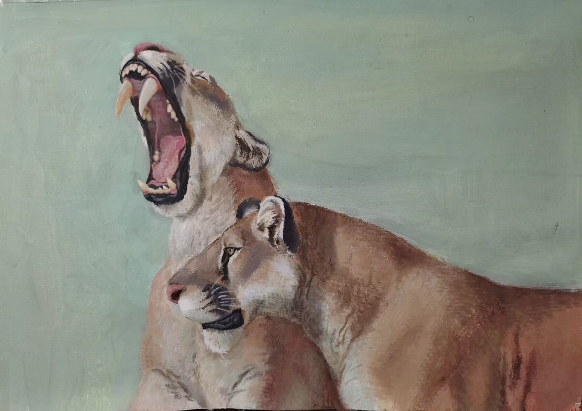 Grasher2023 tweet media