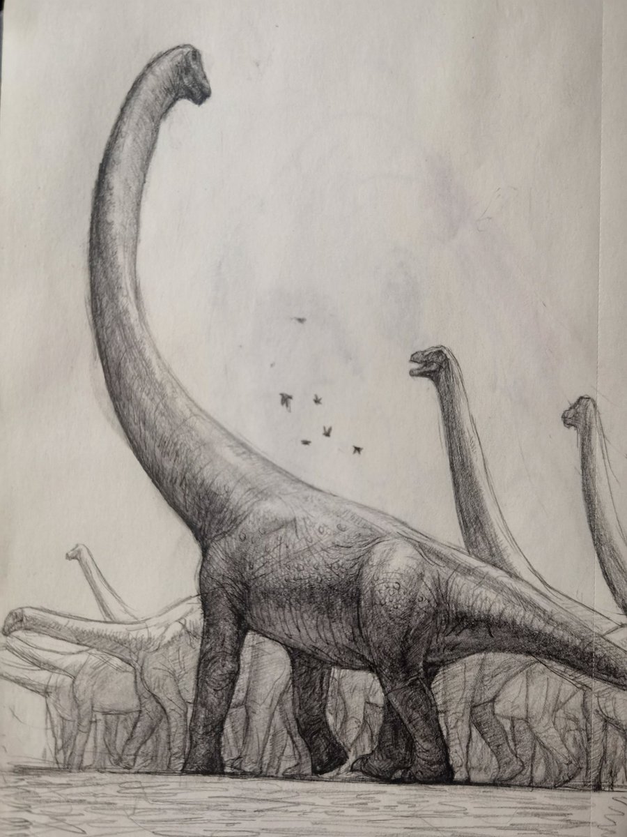 Grasher2023 tweet media