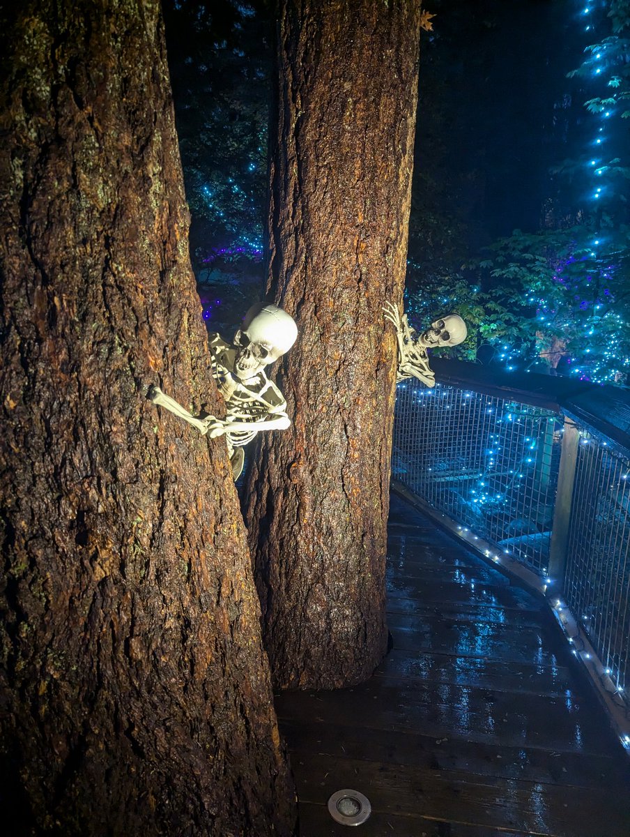 We visited longtime #NorthVancouver Chamber member <a href="/capbridge/">Capilano Suspension Bridge Park</a> this evening for a sneak peek of Canyon Frights!

Kudos to park staff, who have once again outdone themselves with the decor! 🎃👻

Check out Canyon Frights from October 11 to 31.