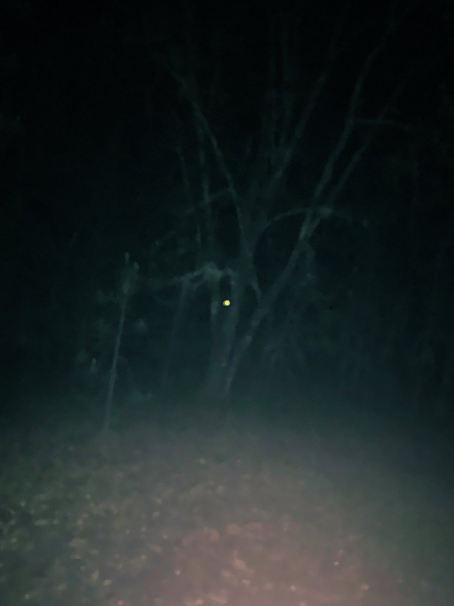 Intelagent_ent's tweet photo. Say hi to our little friend! https://t.co/O9EHdShZ6h