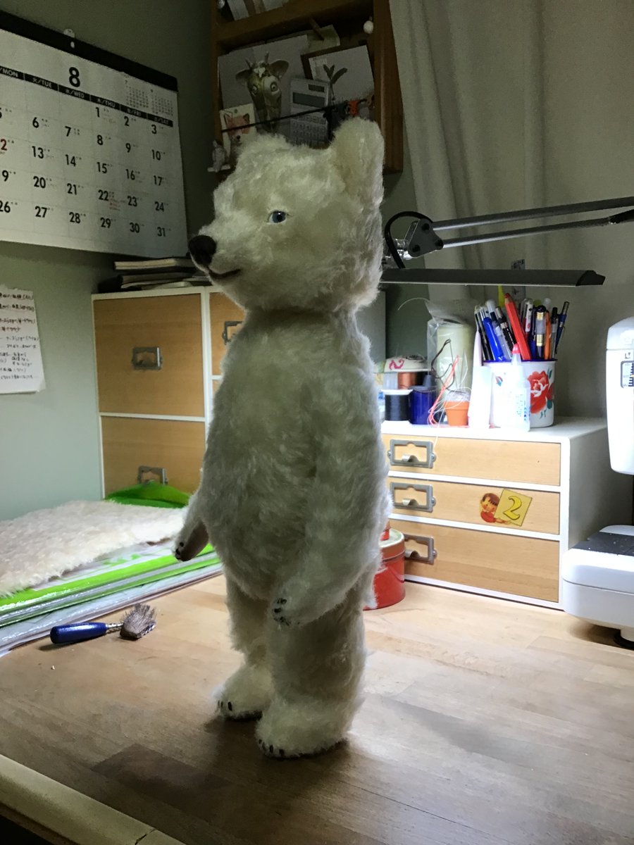 速攻で転売された子はこの子でした。