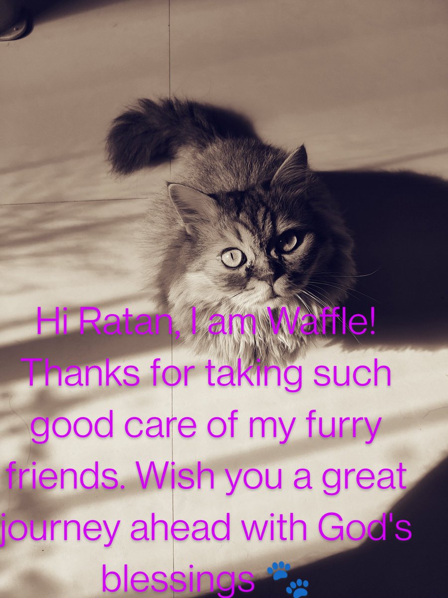 sridharammurthy's tweet image. @RNTata2000 @TataCompanies