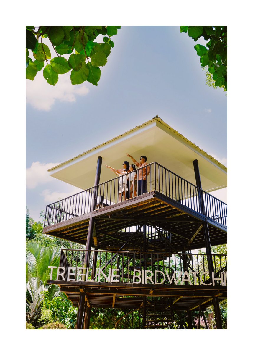rezzrubio's tweet photo. Fam Day Shoot 🌿 https://t.co/d4bz8fVAV7