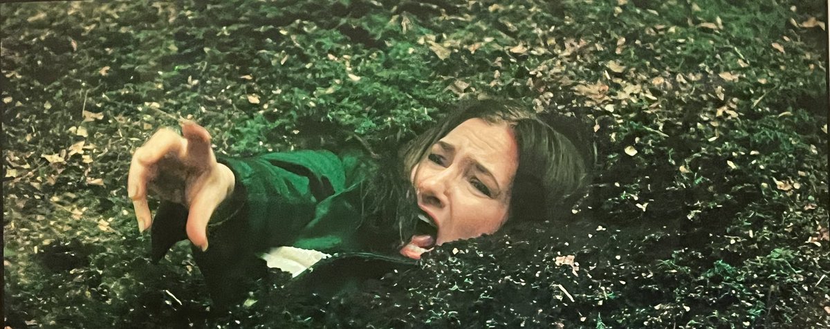 Mac McLean tweet media