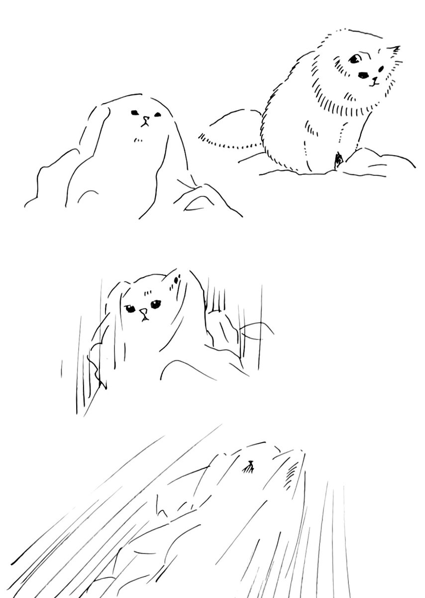他所のお家のかわいいねこちゃん。 