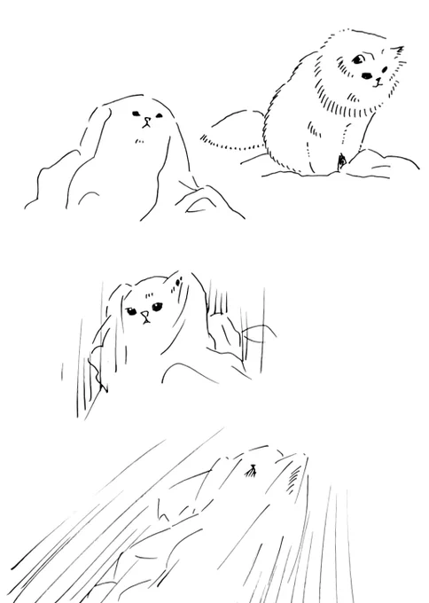 他所のお家のかわいいねこちゃん。 
