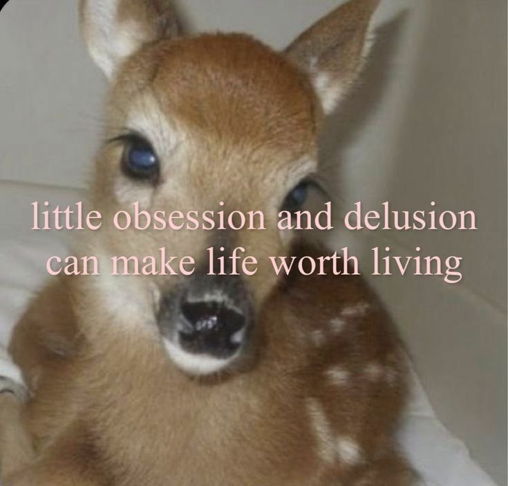 marienotmariaa's tweet image. ⋆ ˚｡⋆୨୧˚  edtwt intro!     

                                 ˚ ༘♡ ⋆｡˚ ❀     

eighteen, 157cm       

cw: 50 kg    ·˚ ༘.     gw: 40 kg 

~ not new, pro recovery!
     
                       ♡  &amp;amp;  ⟳   for moots ! !