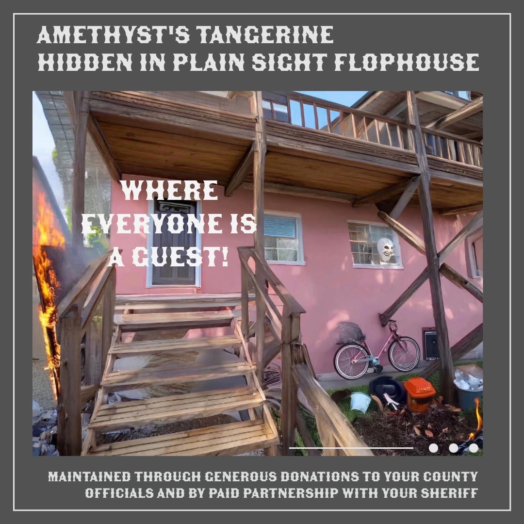 lifesciencefun's tweet image. 