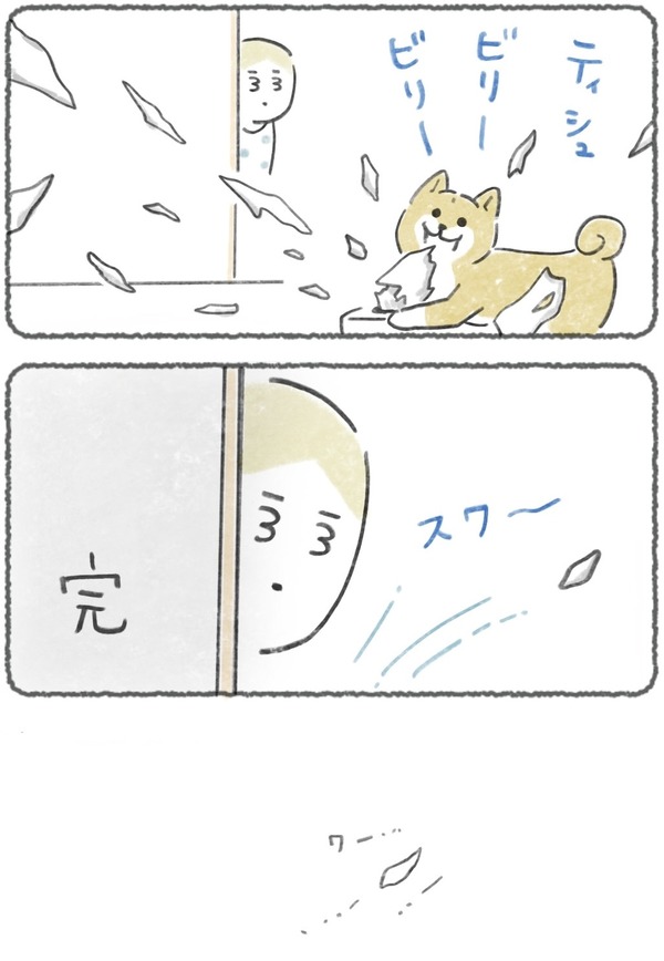犬がいればティッシュも横ぎる 