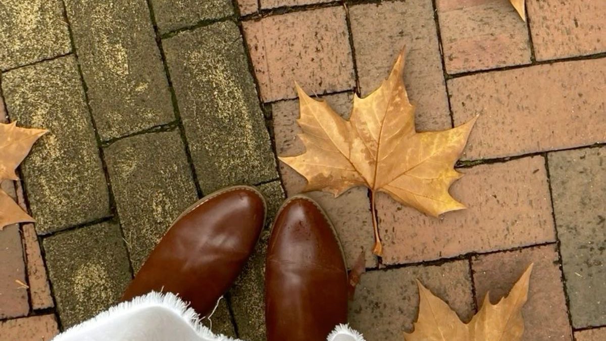 lovelyytweetz's tweet photo. october 10th https://t.co/h1aNrwcuH7