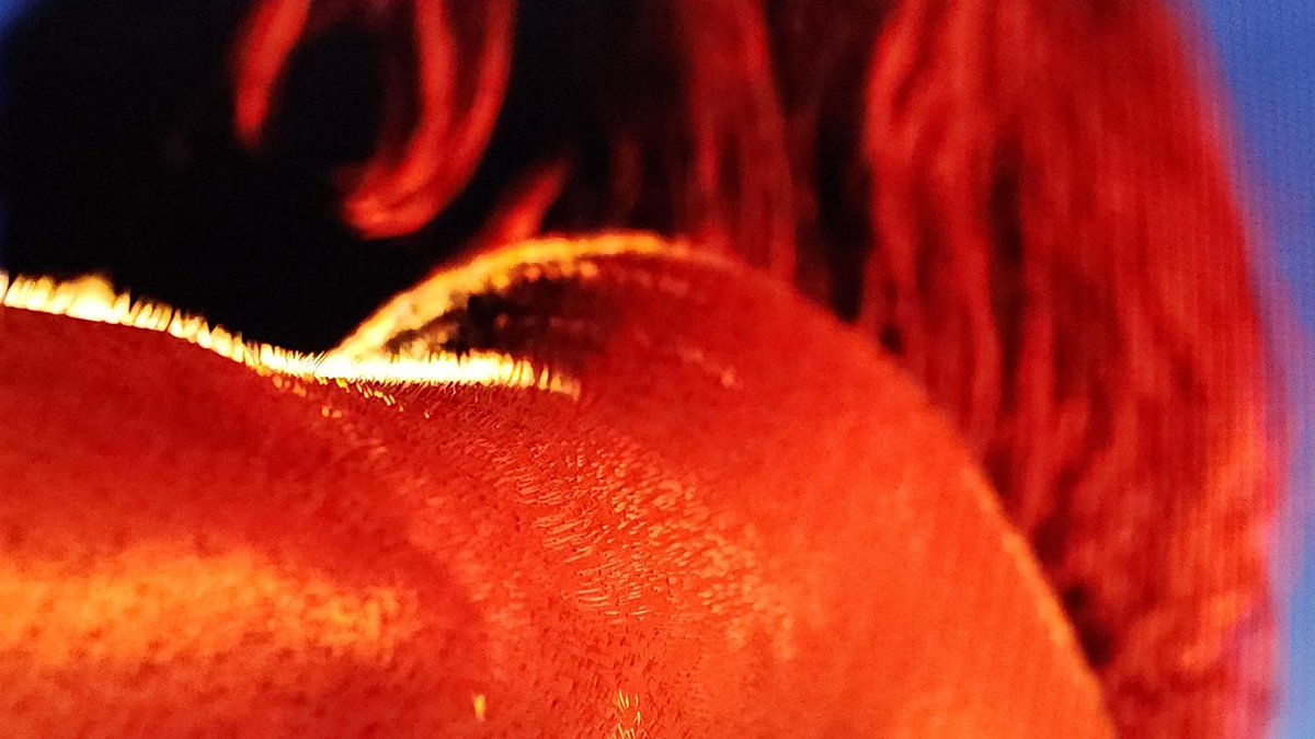 Good progress tonight on getting better at fur rendering! I've previously been annoyed with how little control I felt I had over how it looked, so these little exercises are super fruitful :)