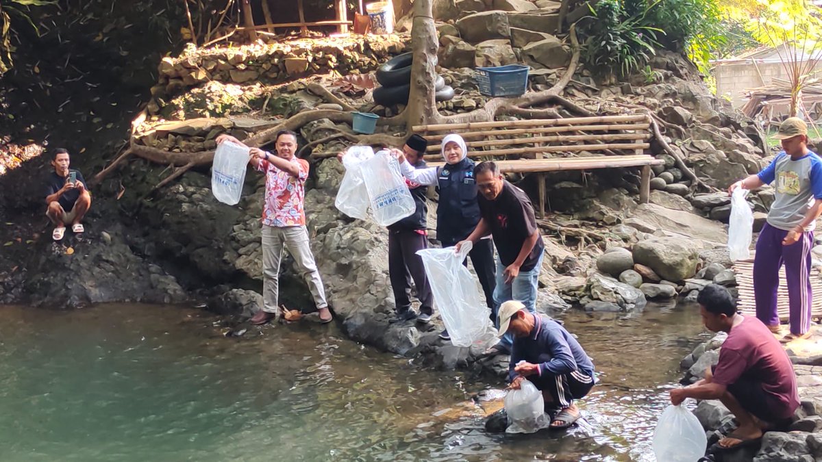 AieSitiAsiah's tweet photo. Kamis, 10/10/2024 Ai Siti Asiah #PPB Kab. #Subang #aktifitas #KelestarianLingkunganHidup #restocking di Desa #cibeusi Kec. #Ciater dihadiri Sekmat, kepala desa & komunitas pecinta lingkungan
@brpbatpp_bogor @BudidayaKKP @pusluh_bppsdm @cdkpwu @YayanHikmayani https://t.co/bWKsWR3mpB