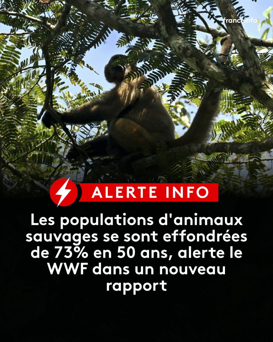 🔴 ALERTE INFO : 

L'ONG appelle à s'attaquer "simultanément aux facteurs du changement climatique et de perte de la nature en transformant de manière coordonnée nos systèmes énergétique, alimentaire et financier".

➡️ l.francetvinfo.fr/lS7