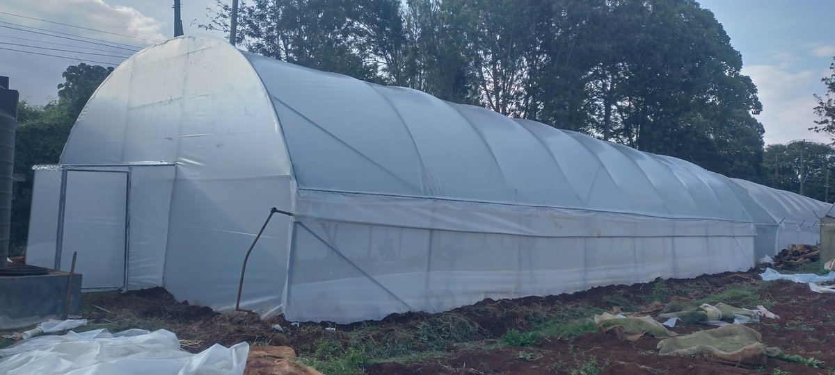 <a href="/DFShorticulture/">Dripfarm technology Solutions</a> proven excellent work, delivered.

If you are looking for advice and professionalism in greenhouse projects, farming and installations 
Kindly inbox 

Other services includes