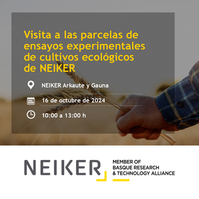 PTecnoagricola's tweet image. 📌 Visita a las parcelas de Ensayos Experimentales de Cultivos Ecológicos de NEIKER

🗓️ Miércoles 16 de octubre
📍 #NEIKER Arkaute y Gauna
✍️ Requiere inscripción

➕ Info ⤵️
n9.cl/ye4oxg

@neiker_BRTA
