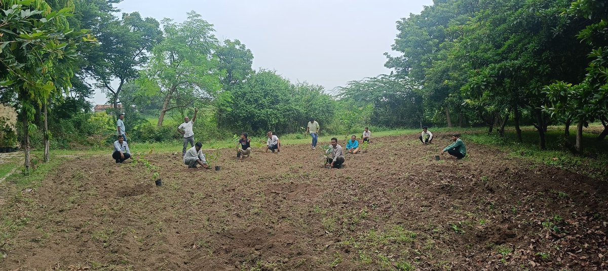 વિકાસ સપ્તાહ અંતર્ગત ગઢડા તાલુકાના તોફણીયા ધ્રુફણીયા ગામે વનીકરણની કામગીરી. 
#VikasSaptah
#23YearsOfGoodGovernance
<a href="/PMOIndia/">PMO India</a> <a href="/CMOGuj/">CMO Gujarat</a>
<a href="/DDOBOTAD/">District Panchayat office Botad</a> <a href="/Collectorbotad/">Collector & DM Botad</a> <a href="/Botad_Prant/">DyCollector&SDM Botad🇮🇳</a> <a href="/InfoBotadGoG/">Info Botad GoG</a>