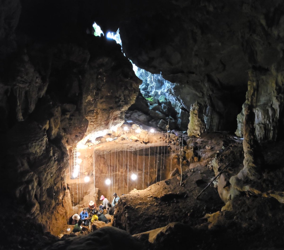 Australian Science Media Centre (@aussmc) on Twitter photo <a href="/Flinders/">Flinders University</a>, <a href="/Macquarie_Uni/">Macquarie University</a> and <a href="/SCU_Australia/">Southern Cross University</a> scientists studying microscopic dirt layers from a Laos cave site have found out more about life for some of our earliest ancestors.
scimex.org/newsfeed/fossi… <a href="/Flinders/">Flinders University</a>, <a href="/Macquarie_Uni/">Macquarie University</a> and <a href="/SCU_Australia/">Southern Cross University</a> scientists studying microscopic dirt layers from a Laos cave site have found out more about life for some of our earliest ancestors.
scimex.org/newsfeed/fossi…
