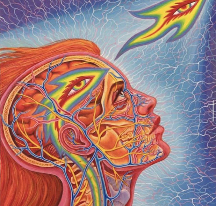 Quanto mais evolui, menos vê corpos, mais se vê energia, vibração e intenção.