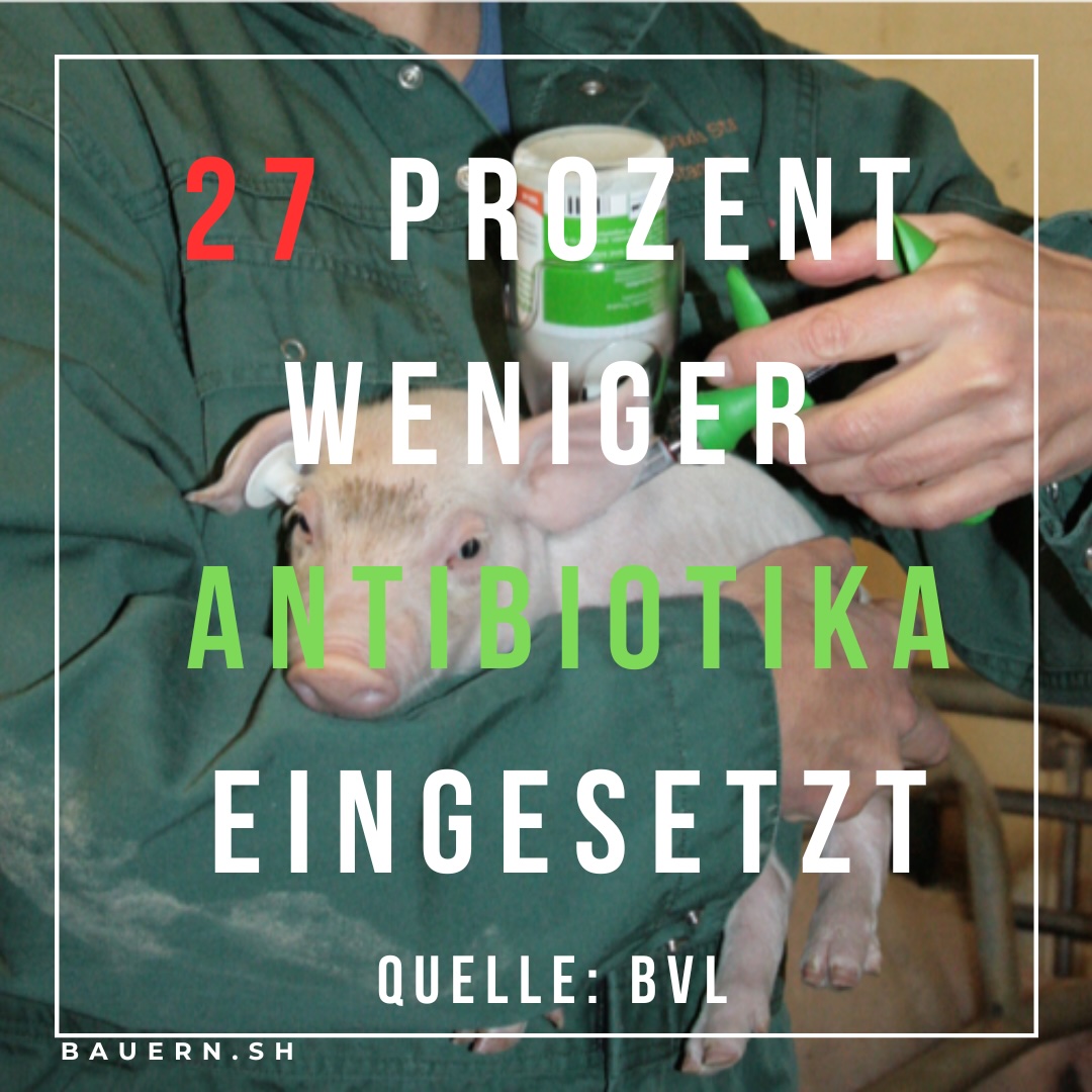 In Deutschland ist die Menge der in der Tiermedizin abgegebenen Antibiotika im Jahr 2023 erneut gesunken. Laut BVL wurden 529 t Antibiotika an die Tierärzteschaft abgegeben. Dies ist der niedrigste Wert seit Beginn der Erfassung 2011.