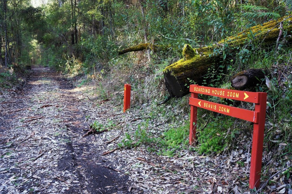 BlueMFLodge's tweet image. Spring is here, and so is hiking season! 🥾 The Bibbulmun Track is just minutes from Blue Moon Forest Lodge, offering the perfect spring adventure. Book your stay now for a memorable hike! 

#SpringHiking #FamilyAdventure #BibbulmunTrack #SouthernForests #OutdoorLovers #BlueM ...